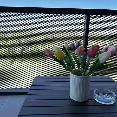 Island View Apartment